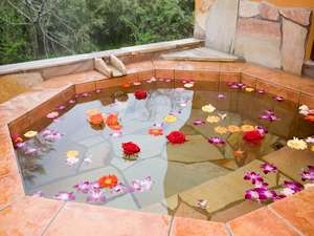 那須 日帰り温泉ランキング第3位の温泉宿、ローズウッドの写真